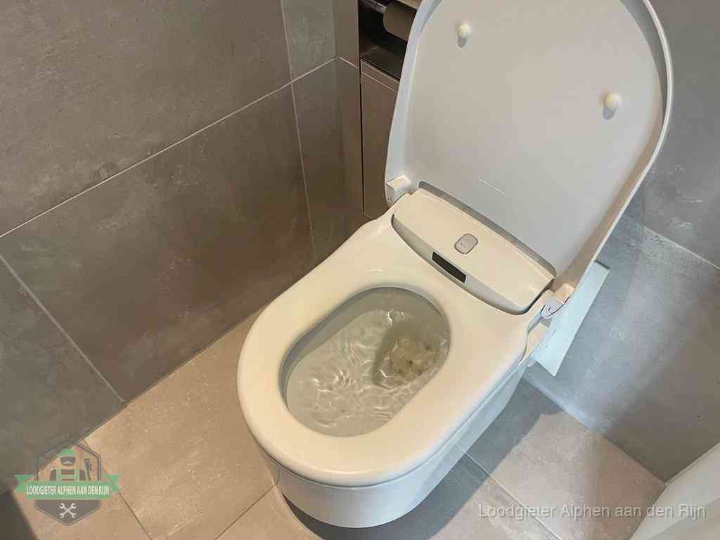 Wc Verstopt In Alphenaandenrijn Wc Verstopt In Alphenaandenrijn